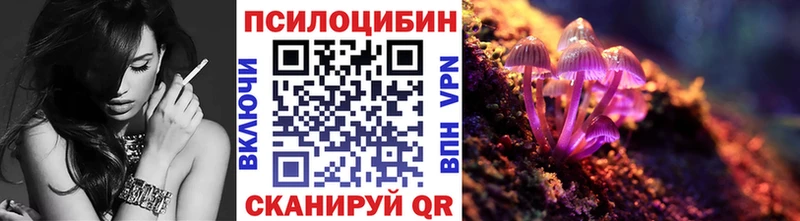 Псилоцибиновые грибы Cubensis  Тайга 